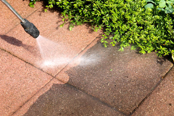 Best Local Pressure Washing Services  in USA